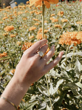 Load image into Gallery viewer, Darling Signet Ring
