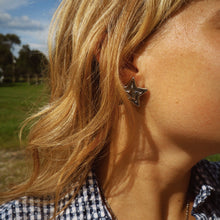 Load image into Gallery viewer, Lone Star Studs
