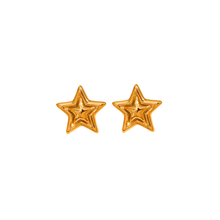 Load image into Gallery viewer, Lone Star Studs
