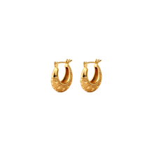 Load image into Gallery viewer, Rhiannon Hoops
